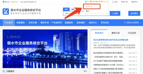 麗水企業 2021年中小微企業服務券申領正式啟動，助力信息技術咨詢服務發展